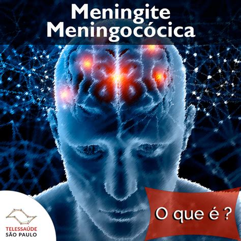 meningite meningocócica agente
